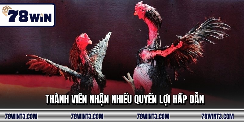 Thành viên nhận nhiều quyền lợi hấp dẫn