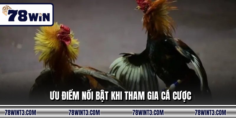 Ưu điểm nổi bật khi tham gia cá cược